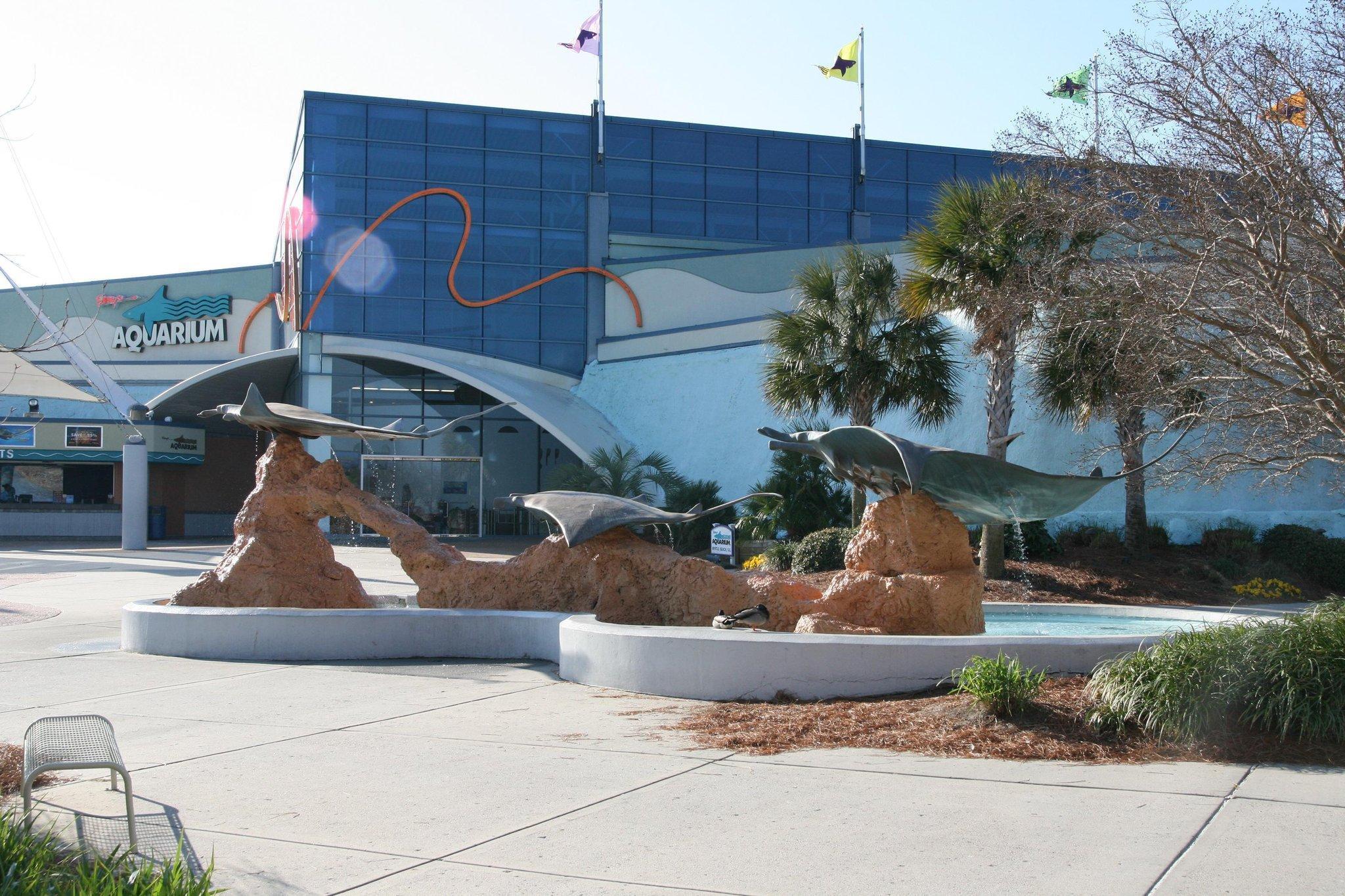 Hampton Inn Myrtle Beach West Socastee Tiện nghi bức ảnh
